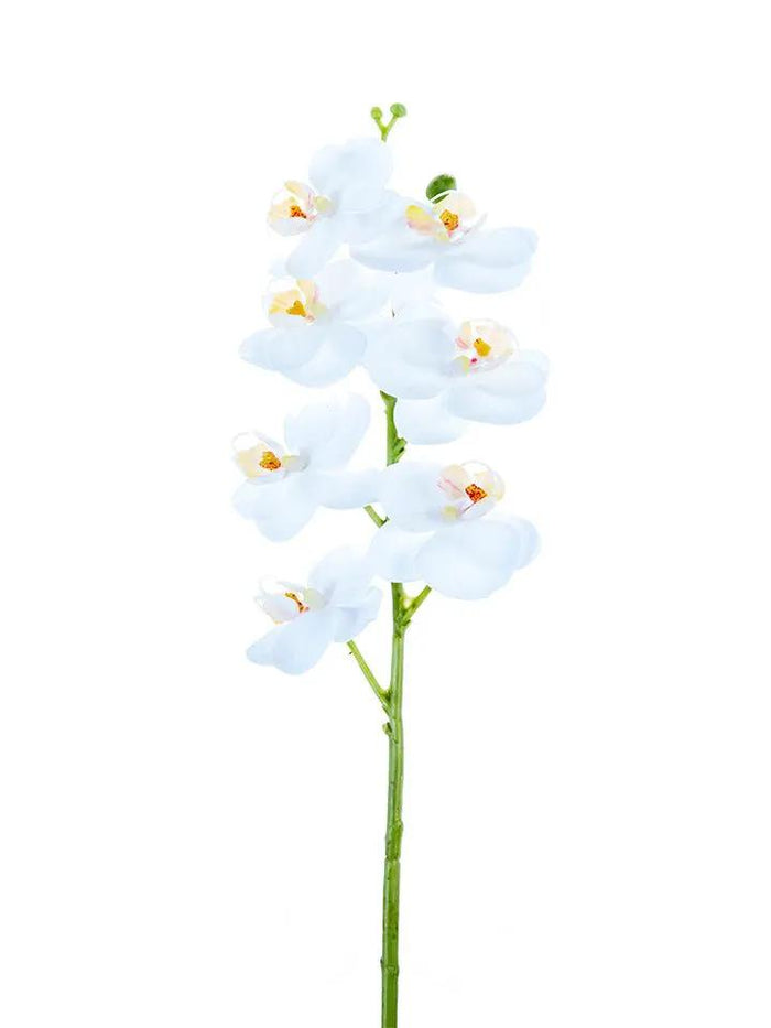 AmBest Real Touch Phalaenopsis Orchid White 24" - Artificial Flowering Plants Silk