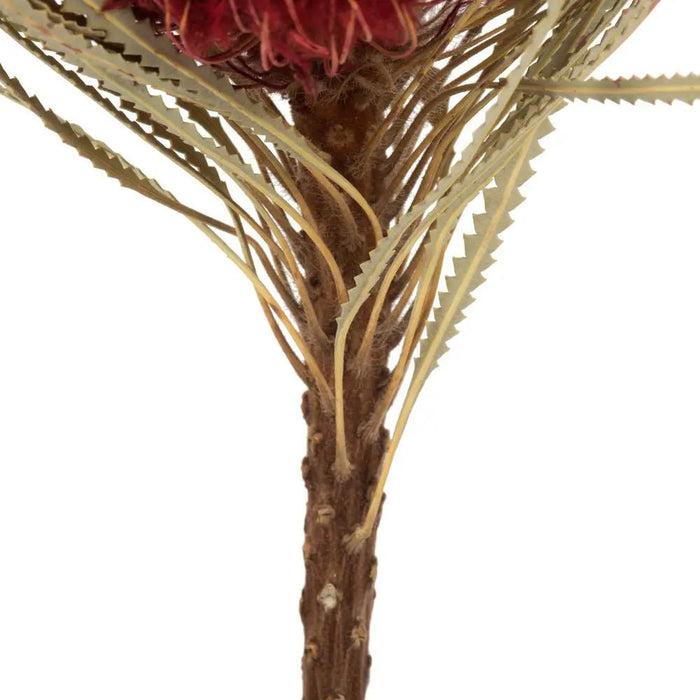 Vickerman Red Banksia Flower Stem 12" - Uncategorized Silk