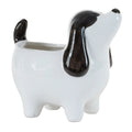 Melrose Resin Dog Container 5.5"L x 5.25"H - Figurines Merchandise