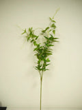 Supreme Ruscus Spray Green - Artificial Non-Flowering Plants Silk