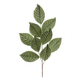 Melrose Sage Magnolia Leaf Spray 27.5"H - Artificial Non-Flowering Plants Silk