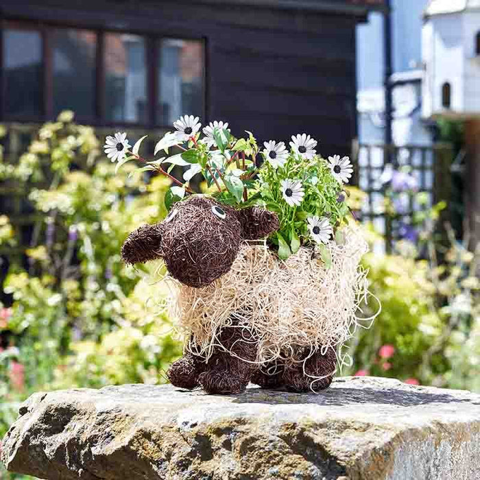 Salim Garden Planters