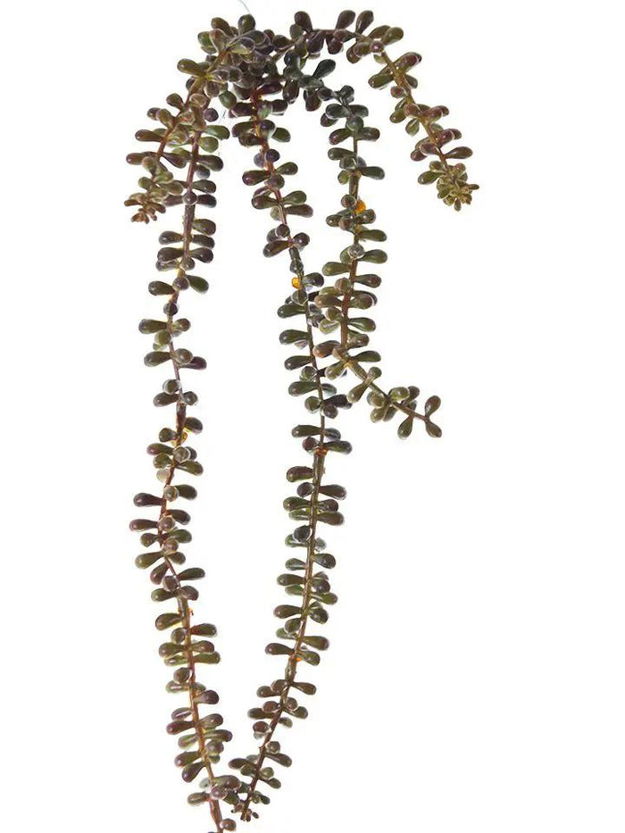 AmBest Sedum Hanging Stem Yellow-Brown 23" - Uncategorized Silk