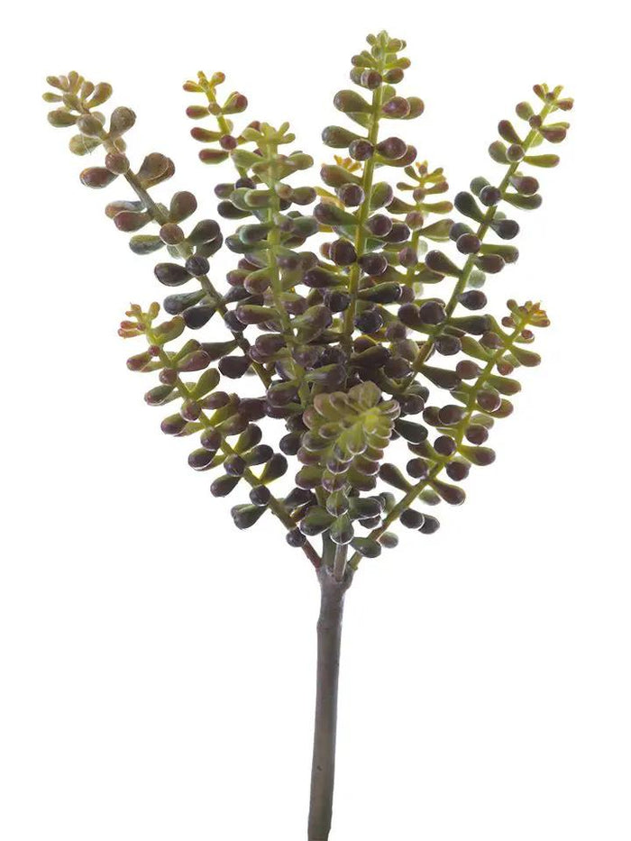 AmBest Sedum Pick Yellow-Brown 10.5" - Uncategorized Silk