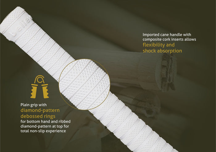 SG HP Icon English Willow Cricket Bat