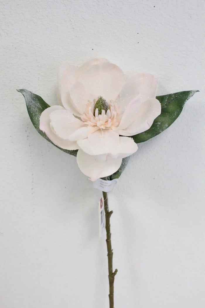 Snowy Magnolia Stem Pink