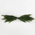 Le Fleur Soft Touch Cedar Swag 31" - Garlands Silk