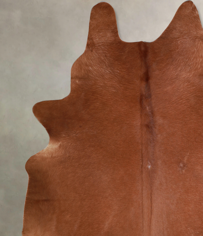 Solid Brown Cowhide Rug #A33466