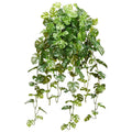 Allstate Split Philo Hanging Bush 36" - Uncategorized Silk