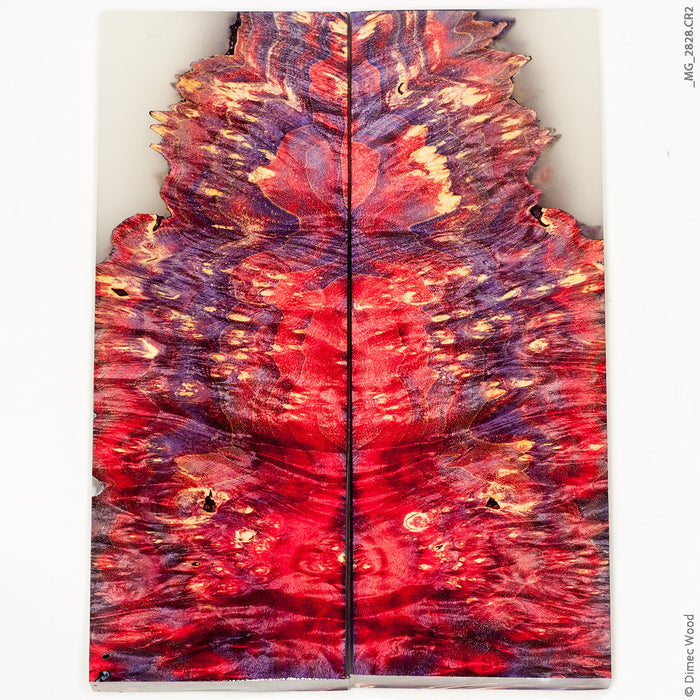 Stabilized hybrid wood box elder burl panels