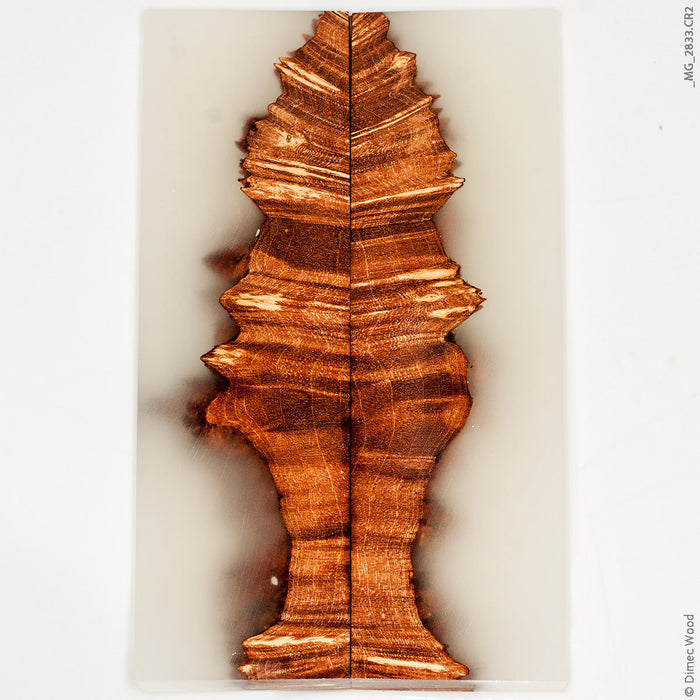 Stabilized hybrid wood box elder burl panels