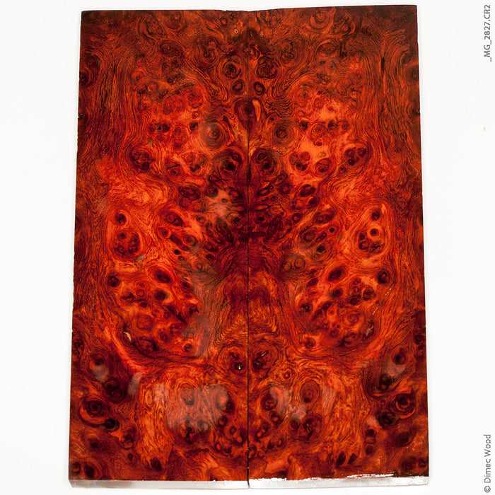 Stabilized red amboyna burl wood panels