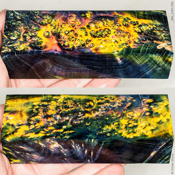 Stabilized wood box elder burl block