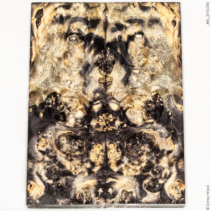 Stabilized wood box elder burl panels