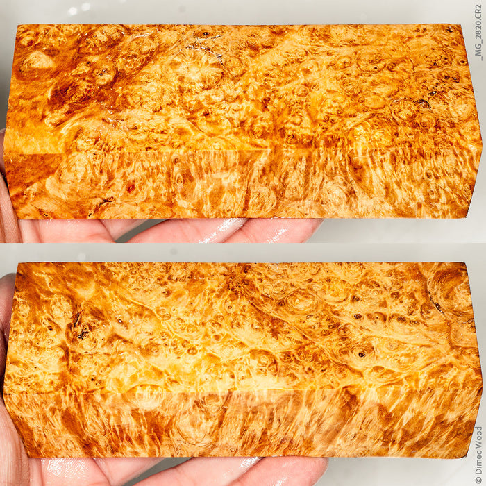 Stabilized wood natural box elder burl block