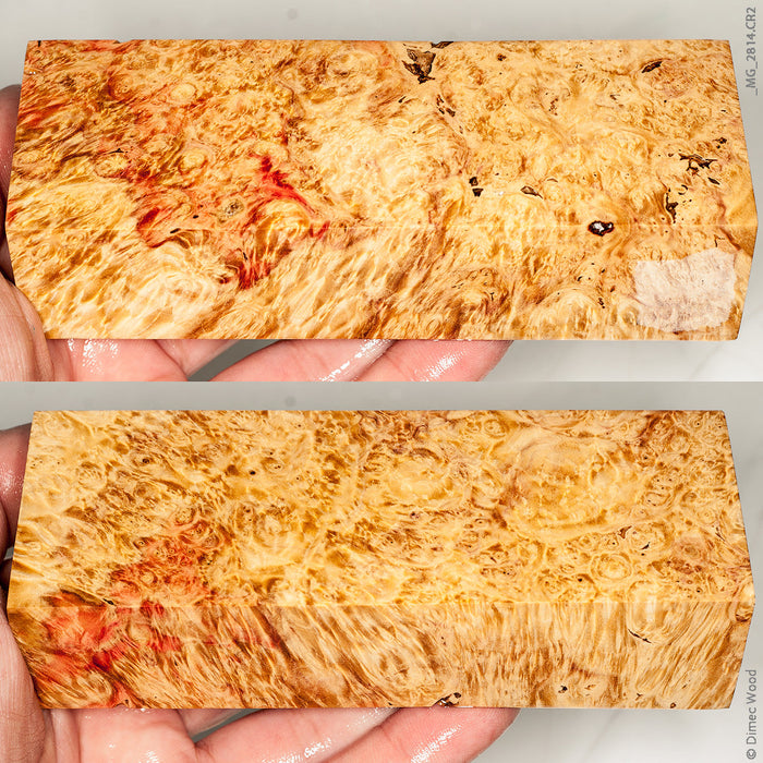 Stabilized wood natural box elder burl block