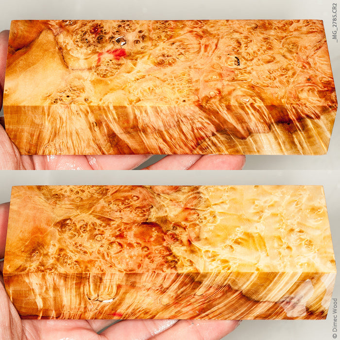 Stabilized wood natural box elder burl block