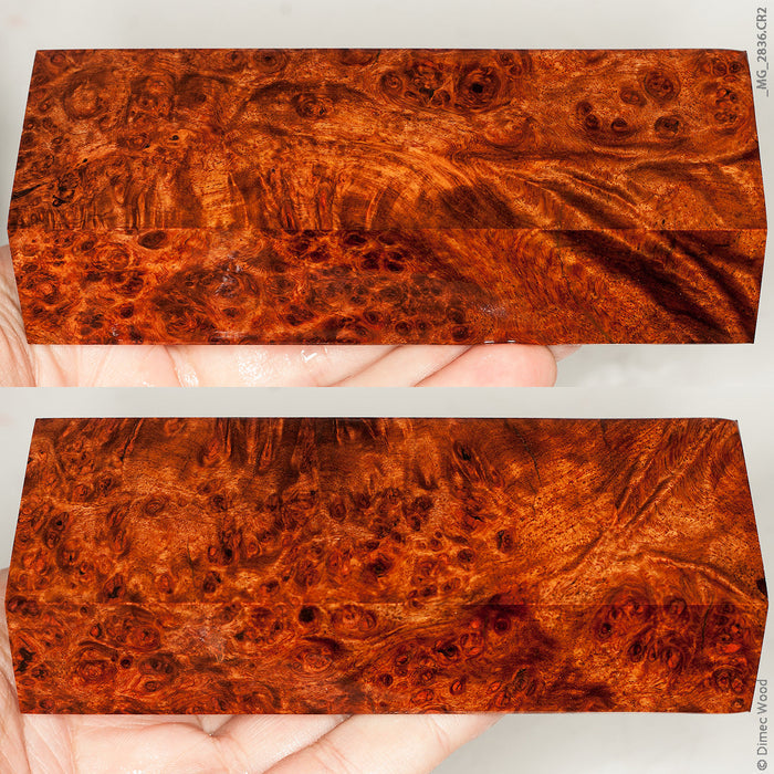 Stabilized wood red amboyna burl block