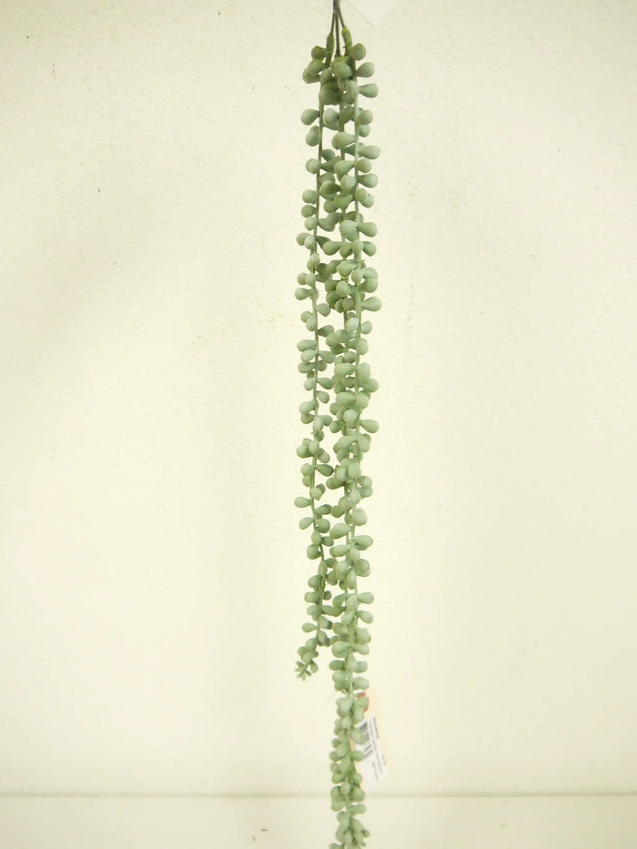 String of Pearls Garland