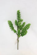 Supreme Succulent Stem Green 14" - Uncategorized Silk