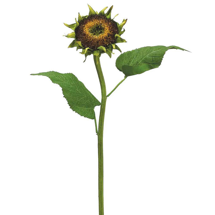 Sunflower Spray Brown 28"