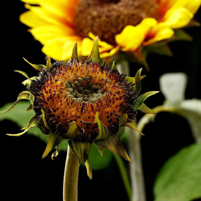 Sunflower Spray Brown 28"