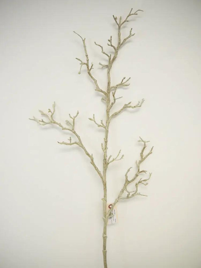 Twig Branch Beige