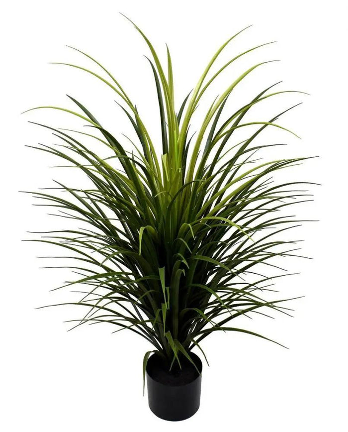 Greenhouse International UV Plastic Yucca/Wide Leaf Grass Bush in Pot 36"H - Silk