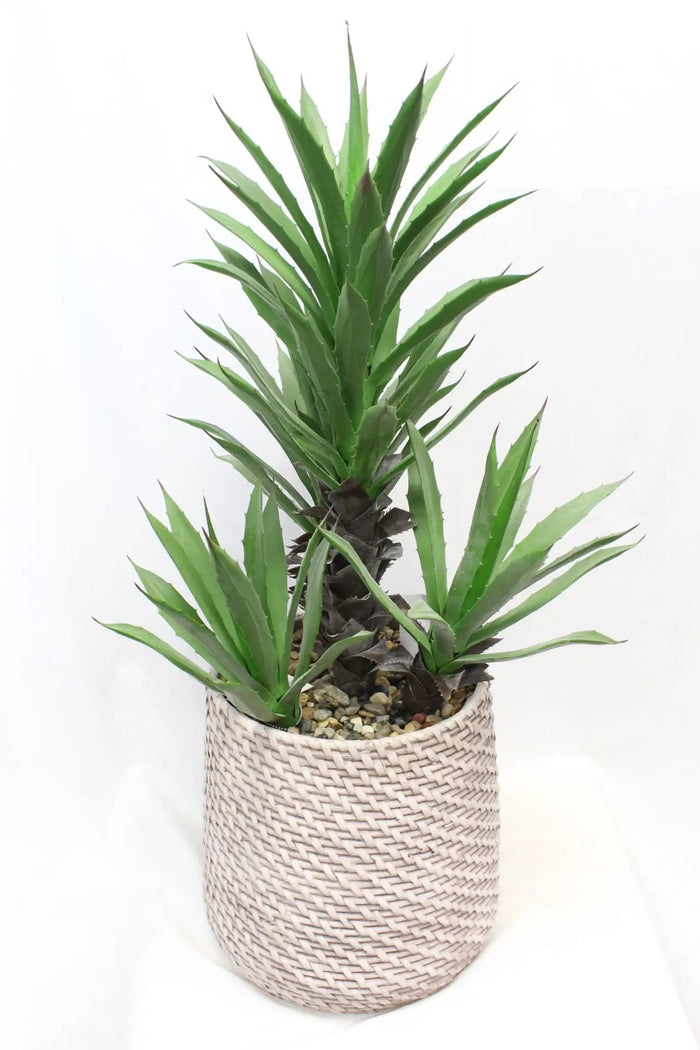 UV Yucca in Pot 36''H