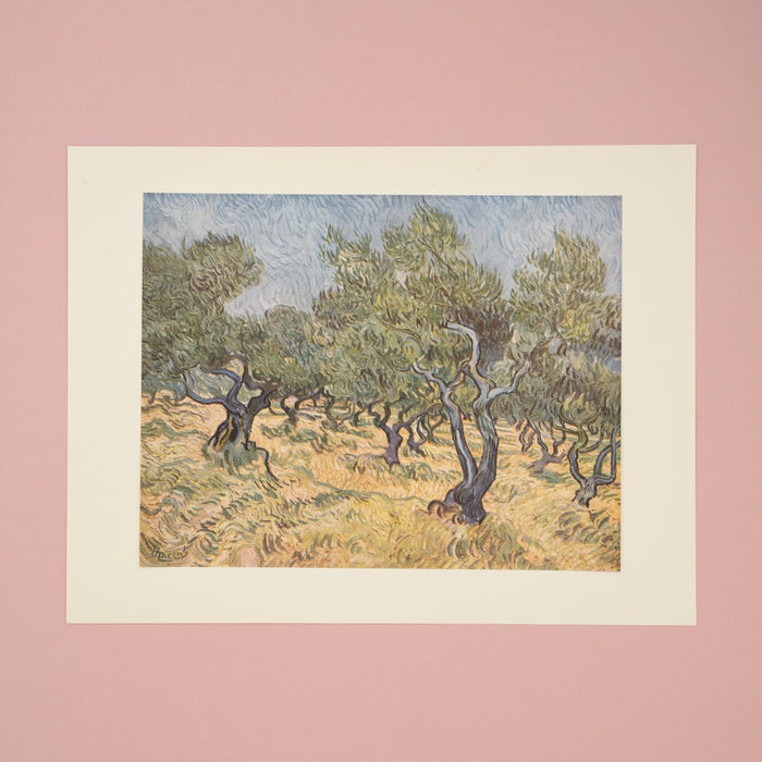 Vincent Van Gogh Olive Orchard Art Print at Golden Rule Gallery