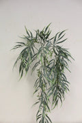 Weeping Eucalyptus Vine 36"
