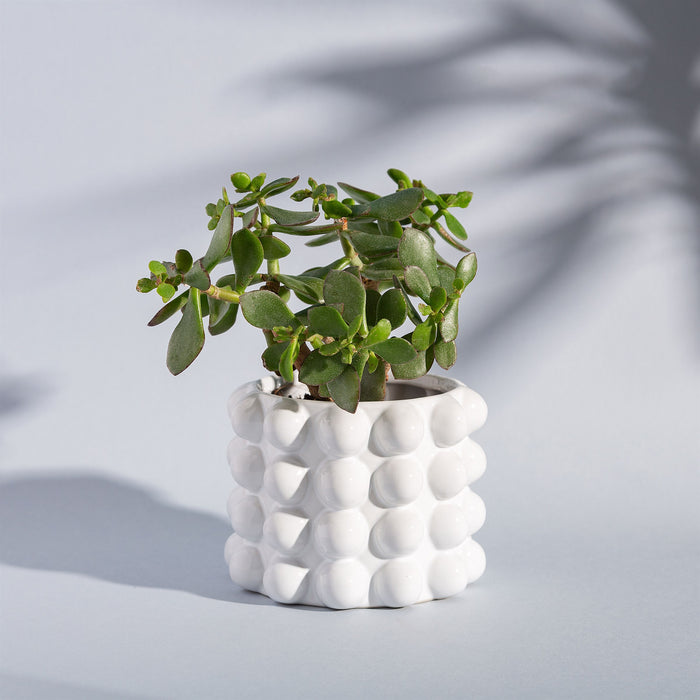 White Bobble Planter - Modern Home Interiors