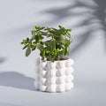 White Bobble Planter - Modern Home Interiors