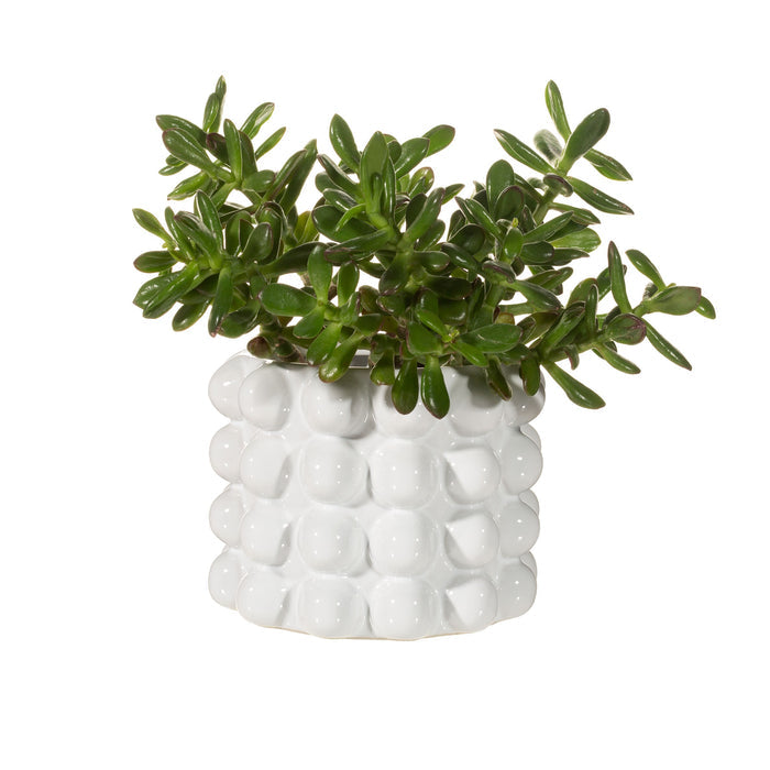 White Bobble Planter - Modern Home Interiors